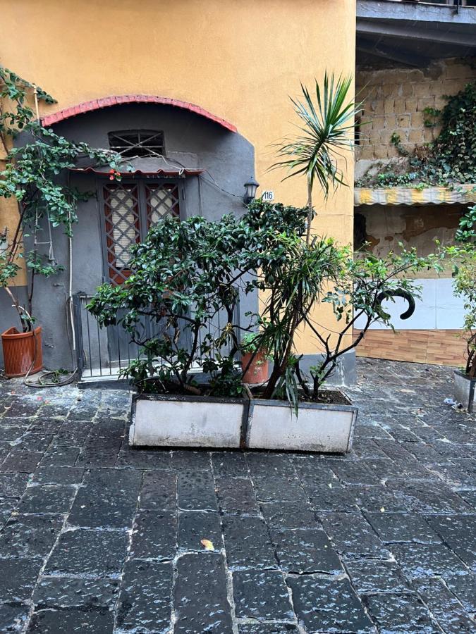 Petite Appartement