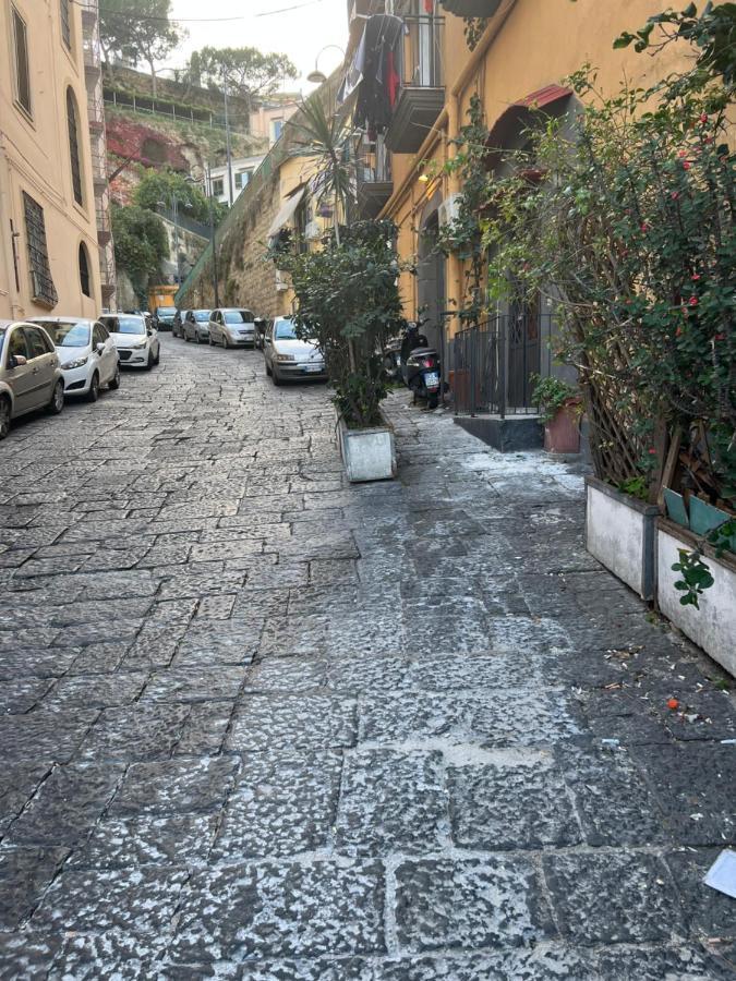 Petite Naples