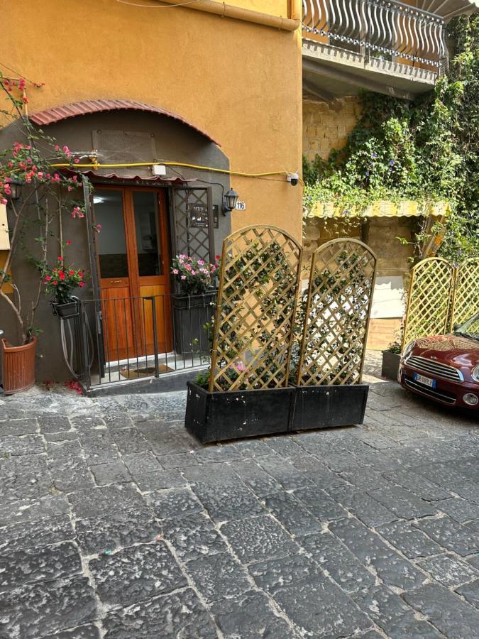 Petite Naples